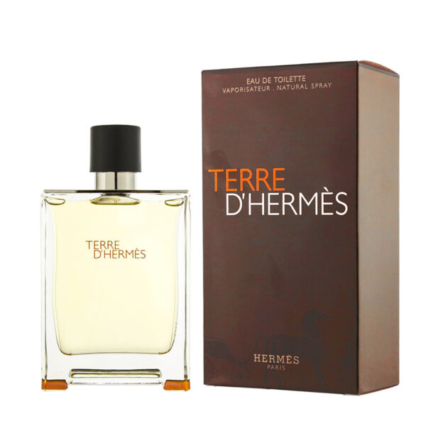 Аромат направления TERRE D'HERMES (HERMES) парфюм PP 10-17